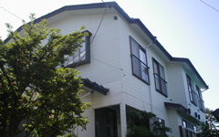 �ق�����y���V�����̎ʐ^